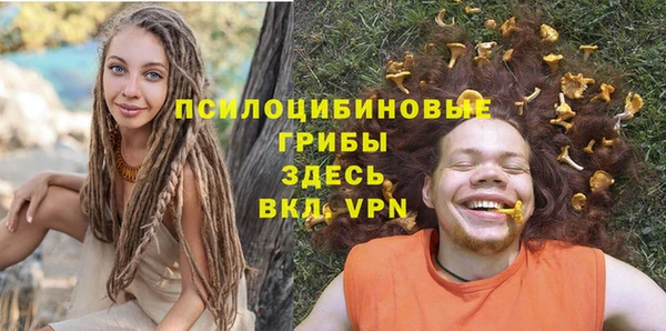 стаф Богданович