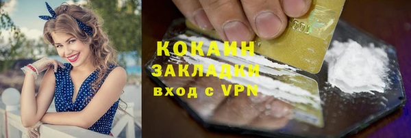 спиды Богородицк