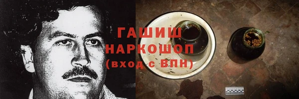 стаф Богданович