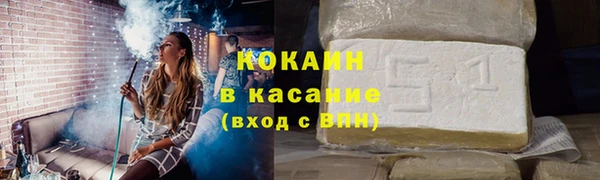 стаф Богданович