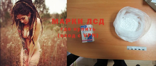 стаф Богданович