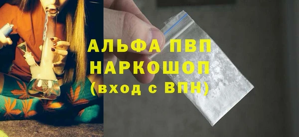 стаф Богданович