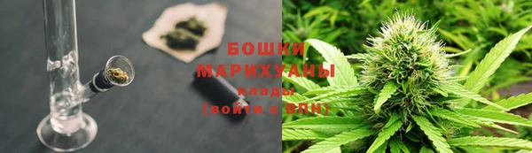 стаф Богданович