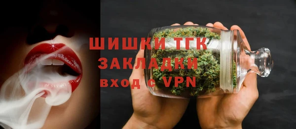 стаф Богданович