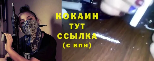 стаф Богданович