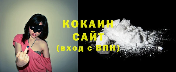 стаф Богданович