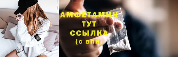 спиды Богородицк
