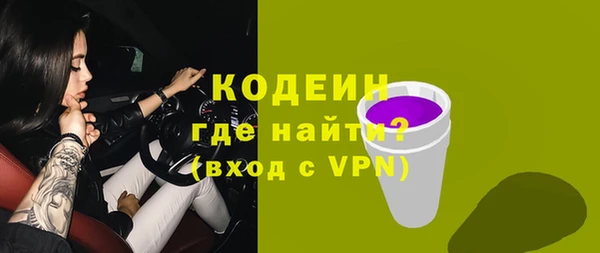 спиды Богородицк