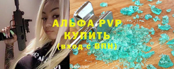 спиды Богородицк