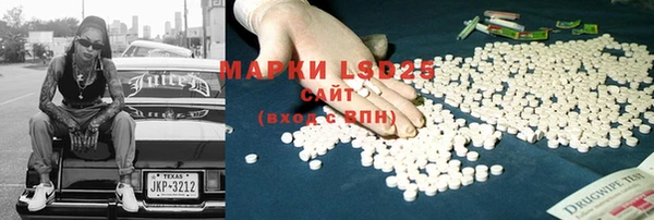 спиды Богородицк