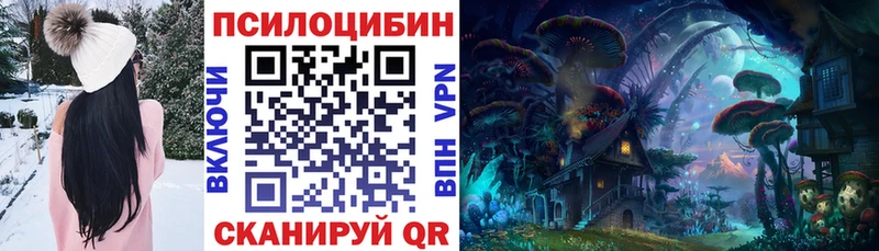 Купить где  Сычёвка  Псилоцибиновые грибы мицелий 