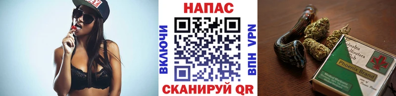 Купить где  Сычёвка  Каннабис OG Kush 